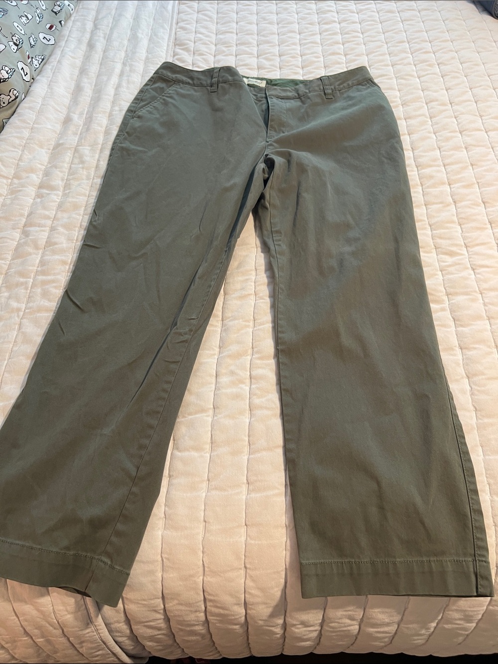 Eddie Bauer Olive Green Chino Pants